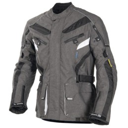 Veste homme BOLOGNA Couleur Gris